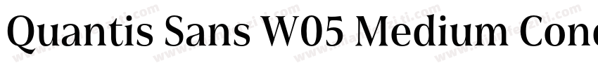 Quantis Sans W05 Medium Cond字体转换